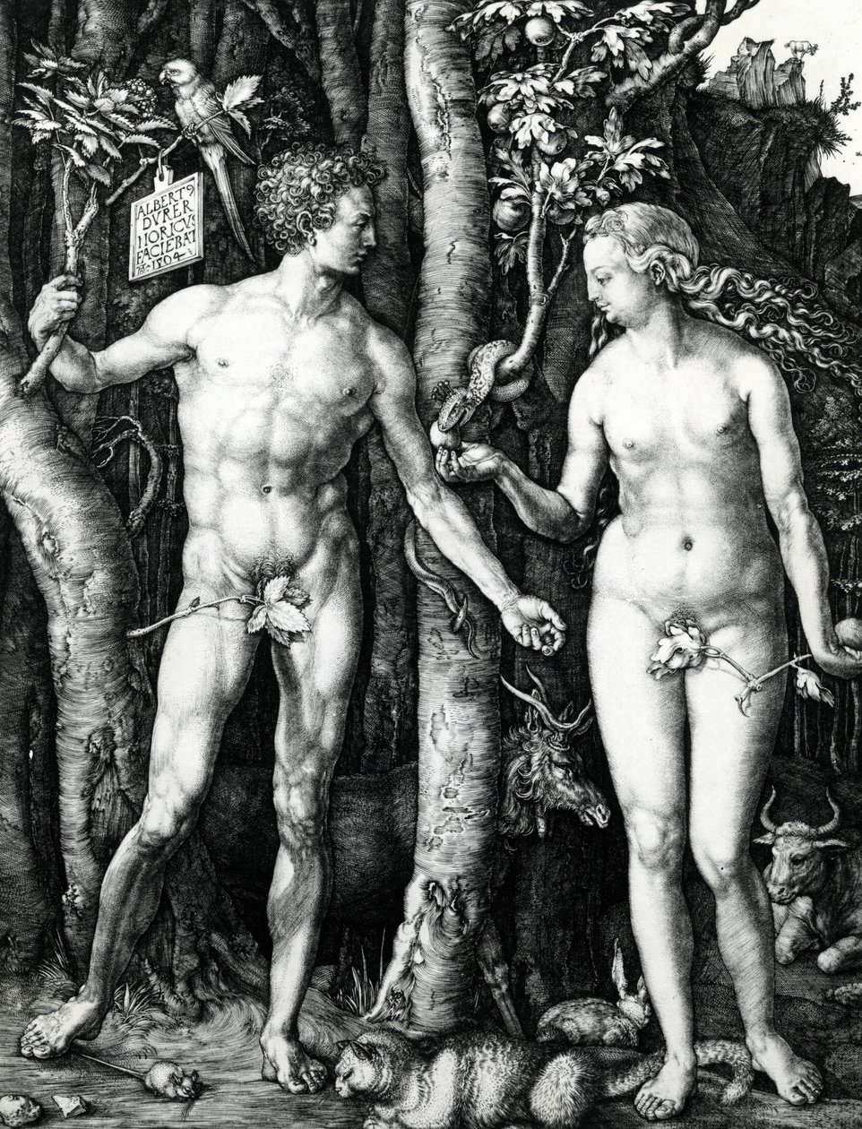 Adam i Ewa autorstwa Albrecht Dürer