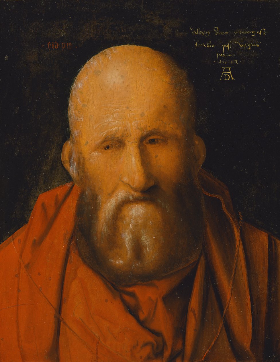 Święty Hieronim autorstwa Albrecht Dürer