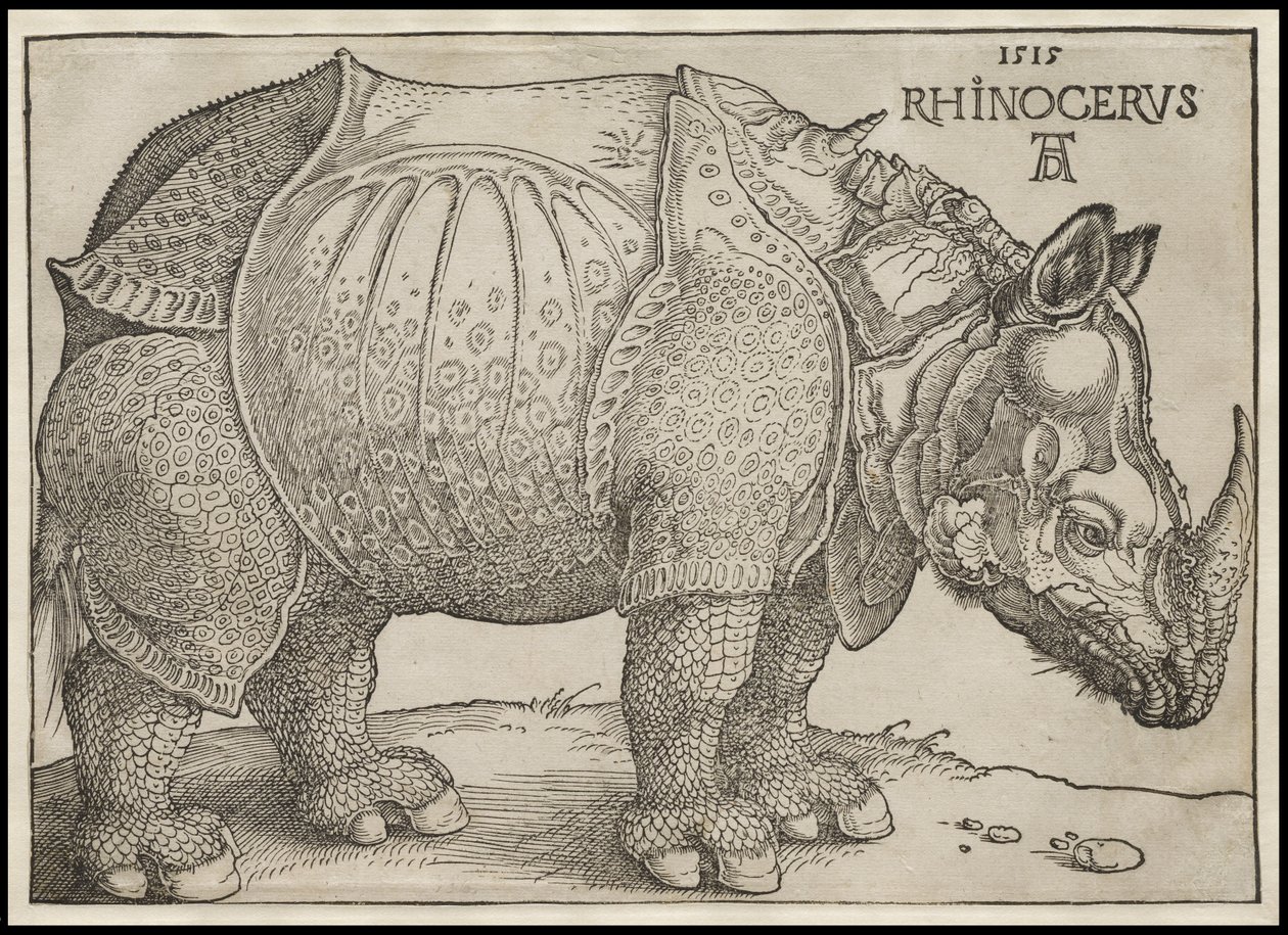 Nosorożec, 1515 autorstwa Albrecht Dürer