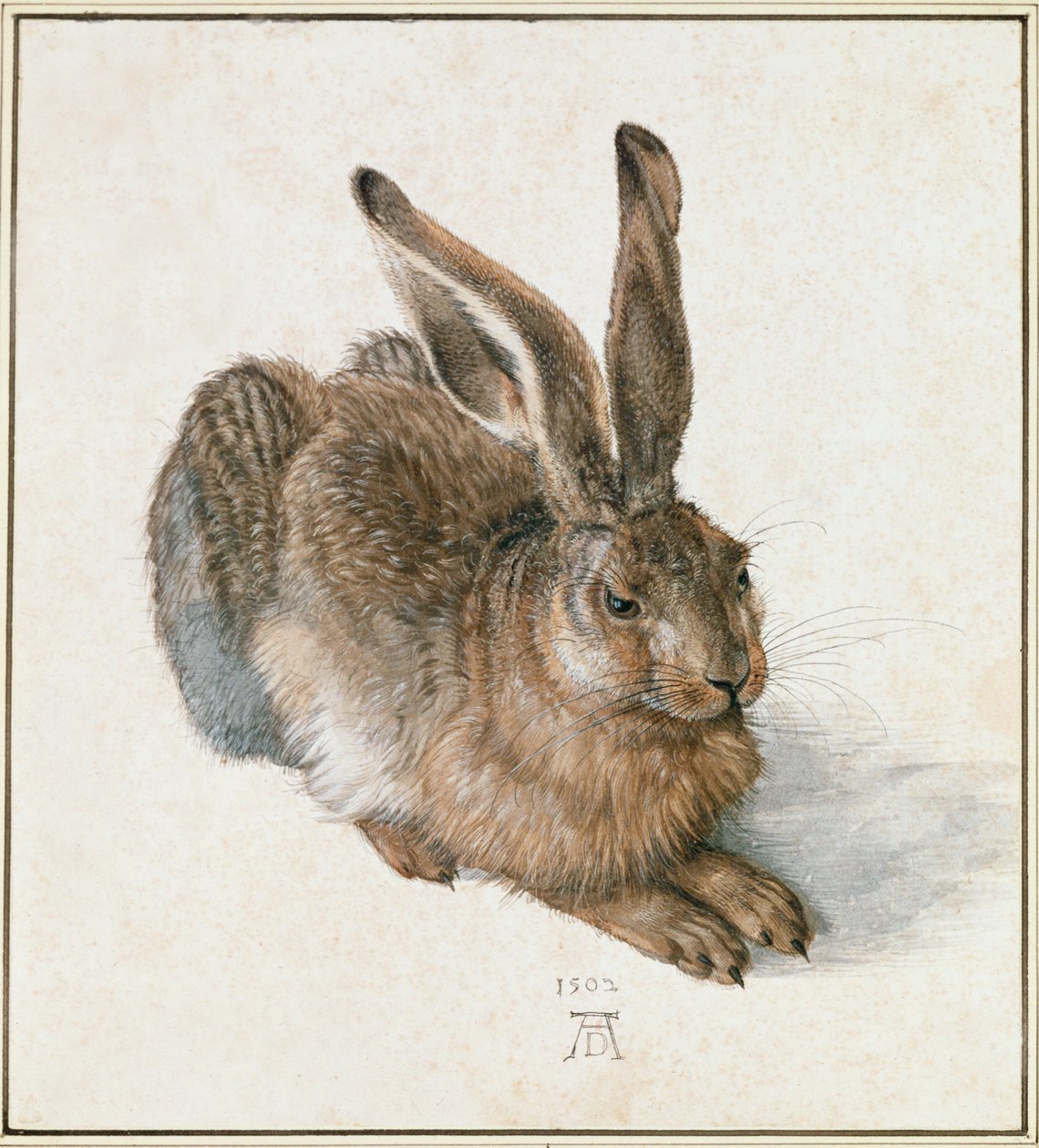 Młody Zając autorstwa Albrecht Dürer or Duerer