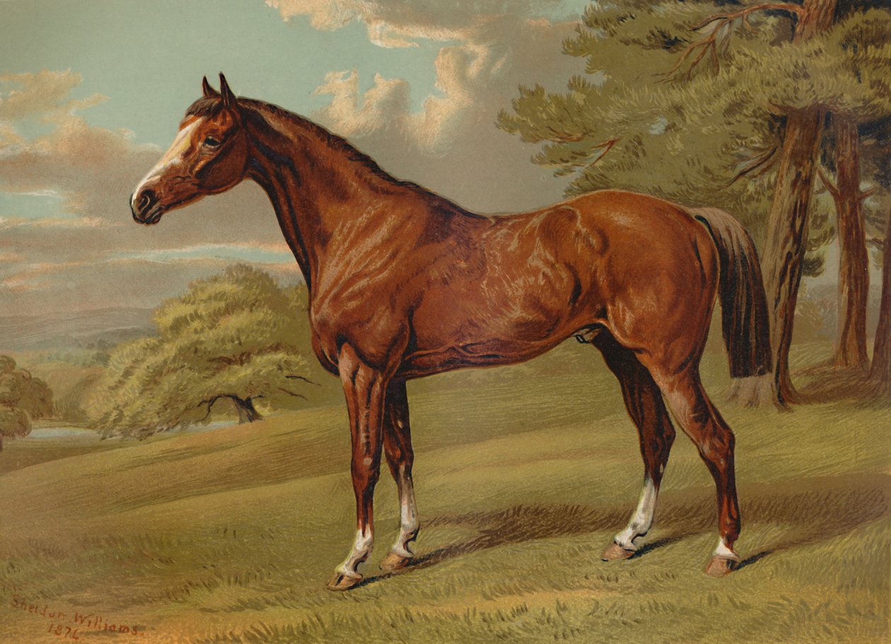 "Stilton myśliwy", ok. 1879. autorstwa Aldfred Sheldon Williams