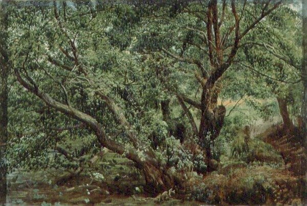Drzewa nad strumieniem autorstwa Aleksandr Andreevich Ivanov