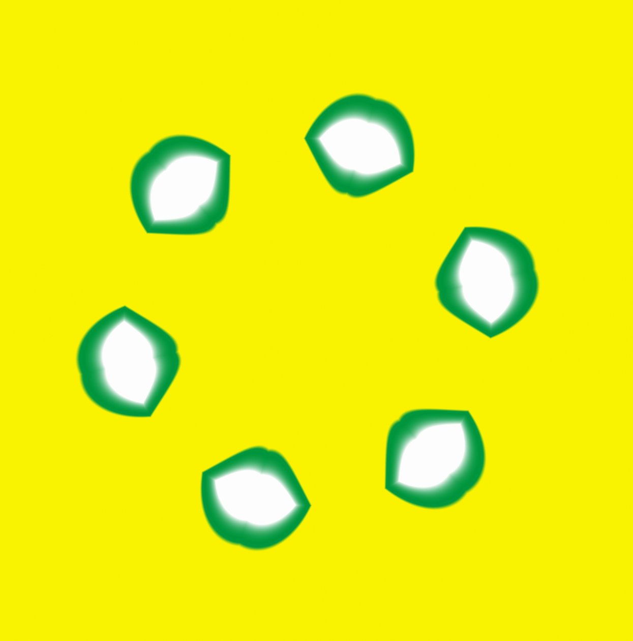 usta,2019,(gradient) autorstwa Alex Caminker