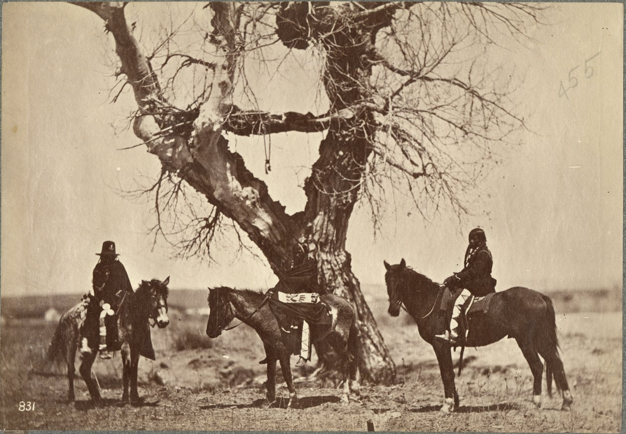 Pochówek, Dakota, 1868 (odbitka albuminowa) autorstwa Alexander Gardner