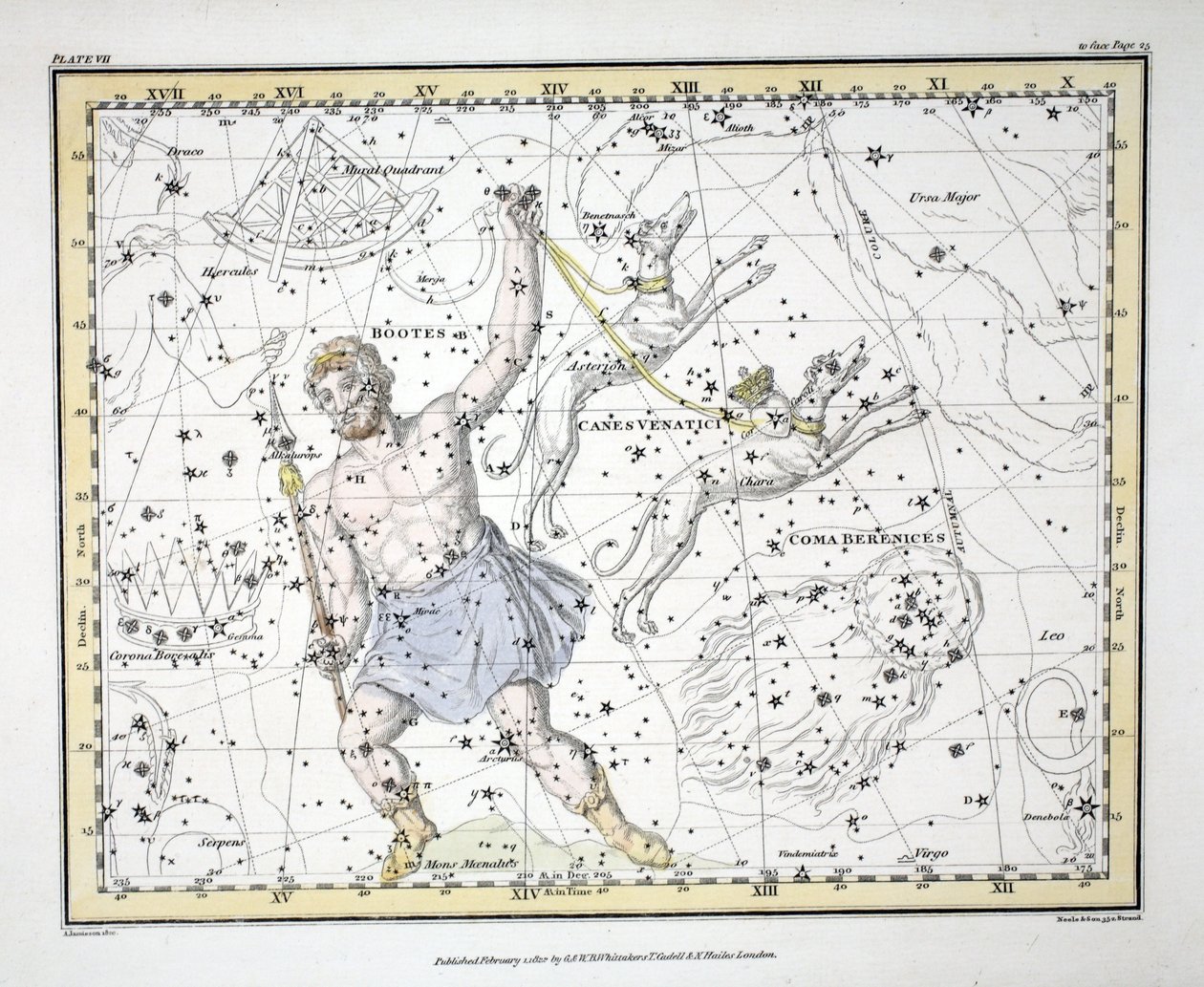 Konstelacje (tabl. VII) Bootes i Mons Maenalus, Asterion i Chara lub Canes Venatici, Coma Bereniki, z „Atlasu niebieskiego” Aleksandra Jamiesona, wyd. Londyn 1822 (ręcznie kolorowy grawer autorstwa Alexander Jamieson