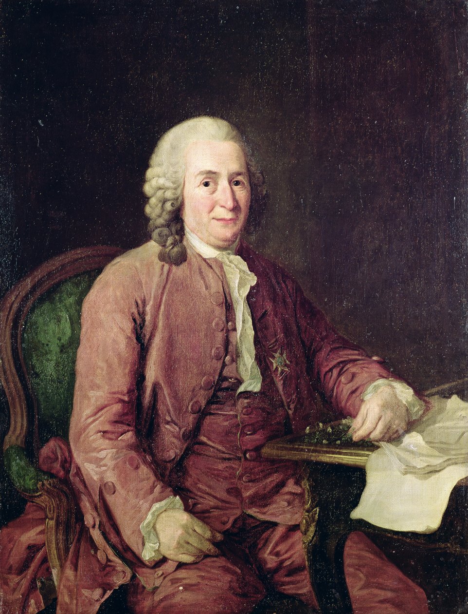 Portret Karola von Linneusza (1707-78) autorstwa Alexander Roslin