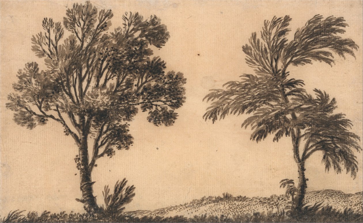 Studium dwóch wierzb autorstwa Alexander Cozens