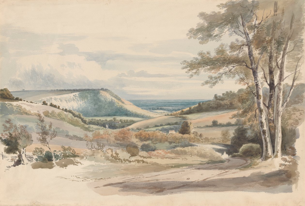 Boxhill z West Humble Lane autorstwa Alexander Monro