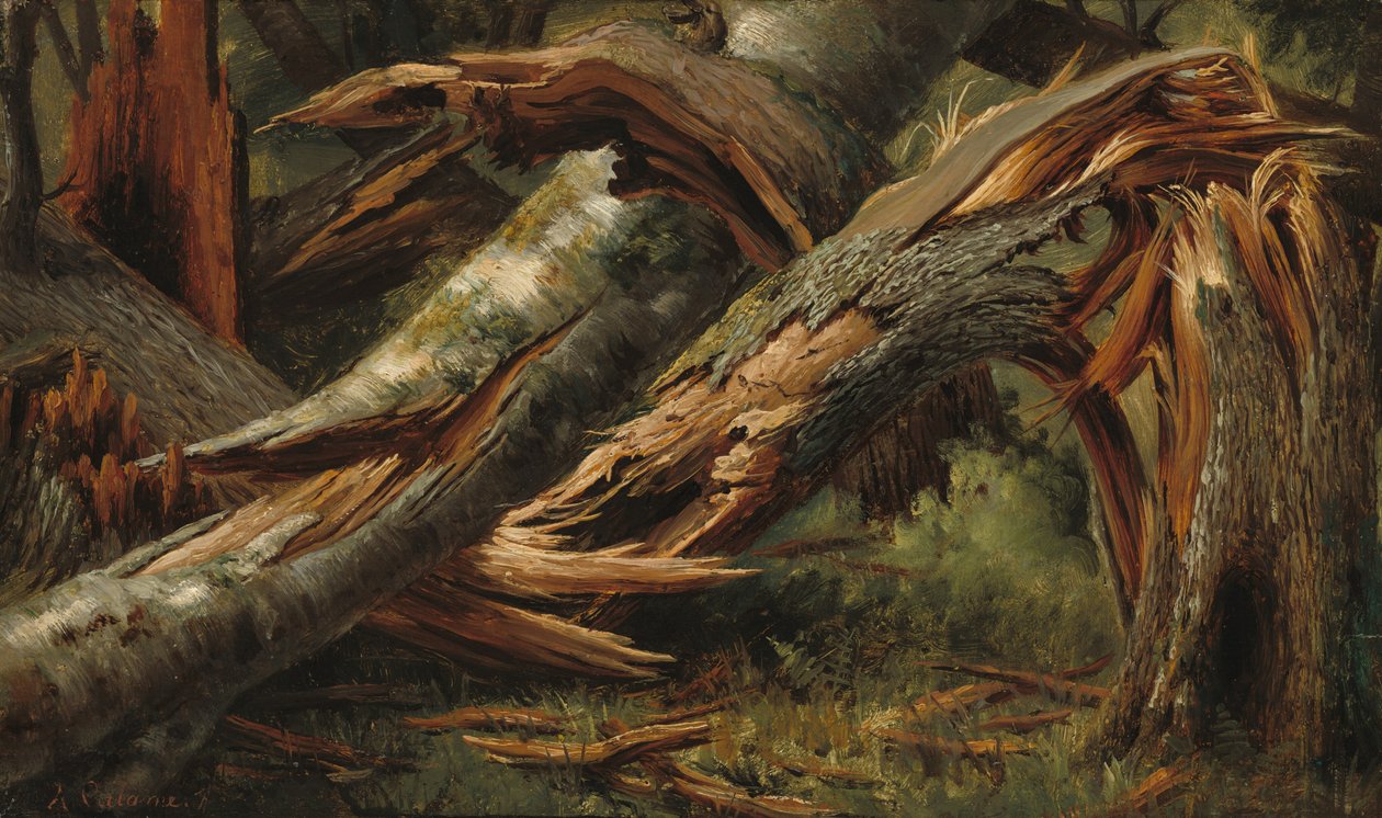 Upadłe drzewo autorstwa Alexandre Calame