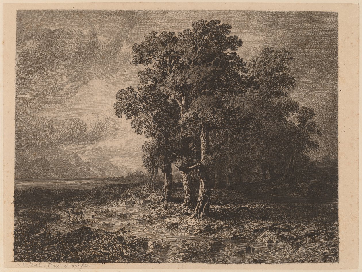 Drzewa podczas burzy autorstwa Alexandre Calame