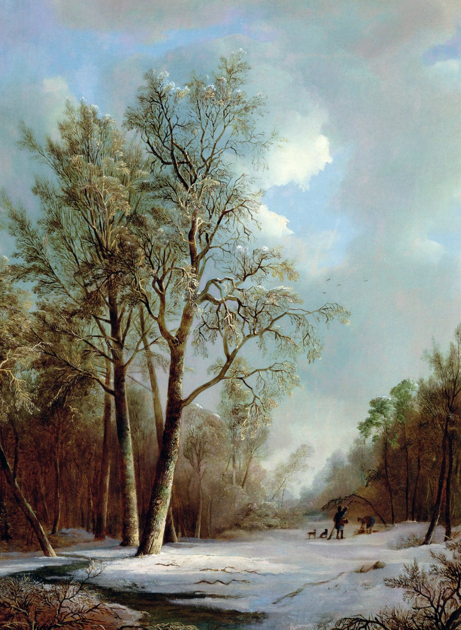 Śnieżna scena autorstwa Alexis de Leeuw