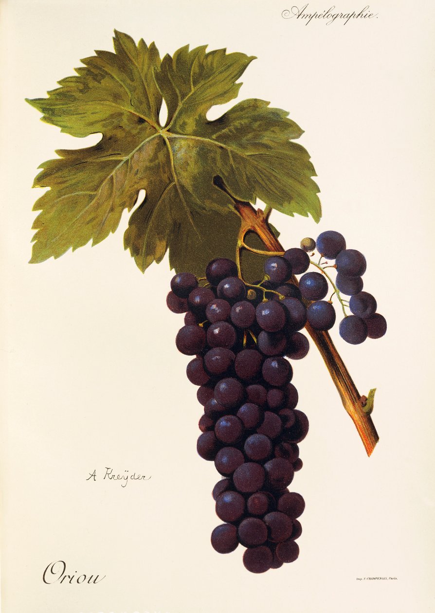 Uchwyt graniczny A. Kreiter autorstwa Alexis Kreyder
