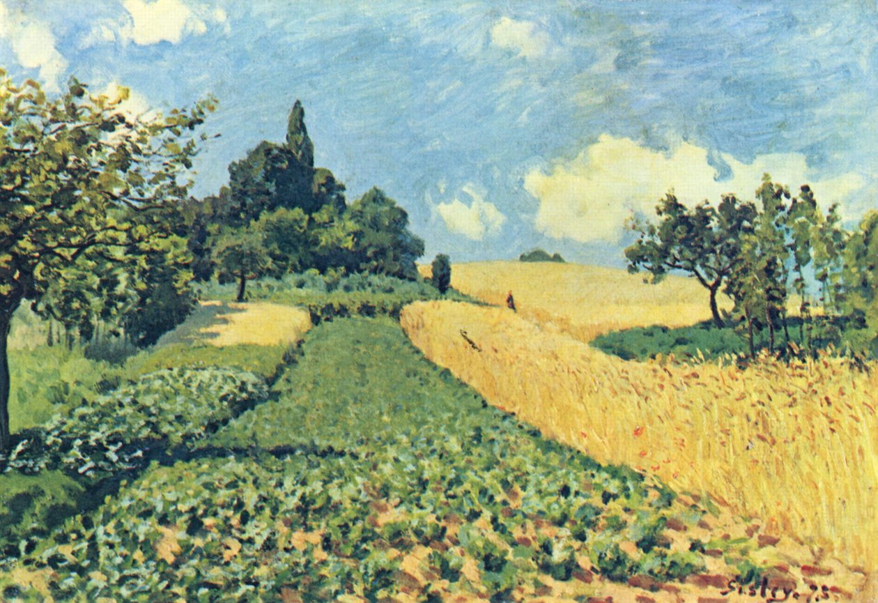 Pola zboża na wzgórzach Argenteuil autorstwa Alfred Sisley