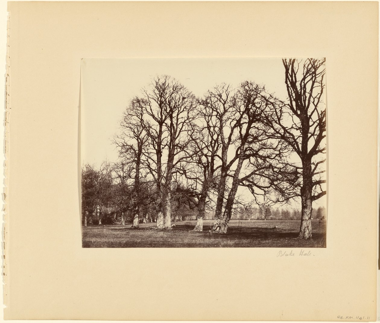 Blake Hall autorstwa Alfred Capel Cure