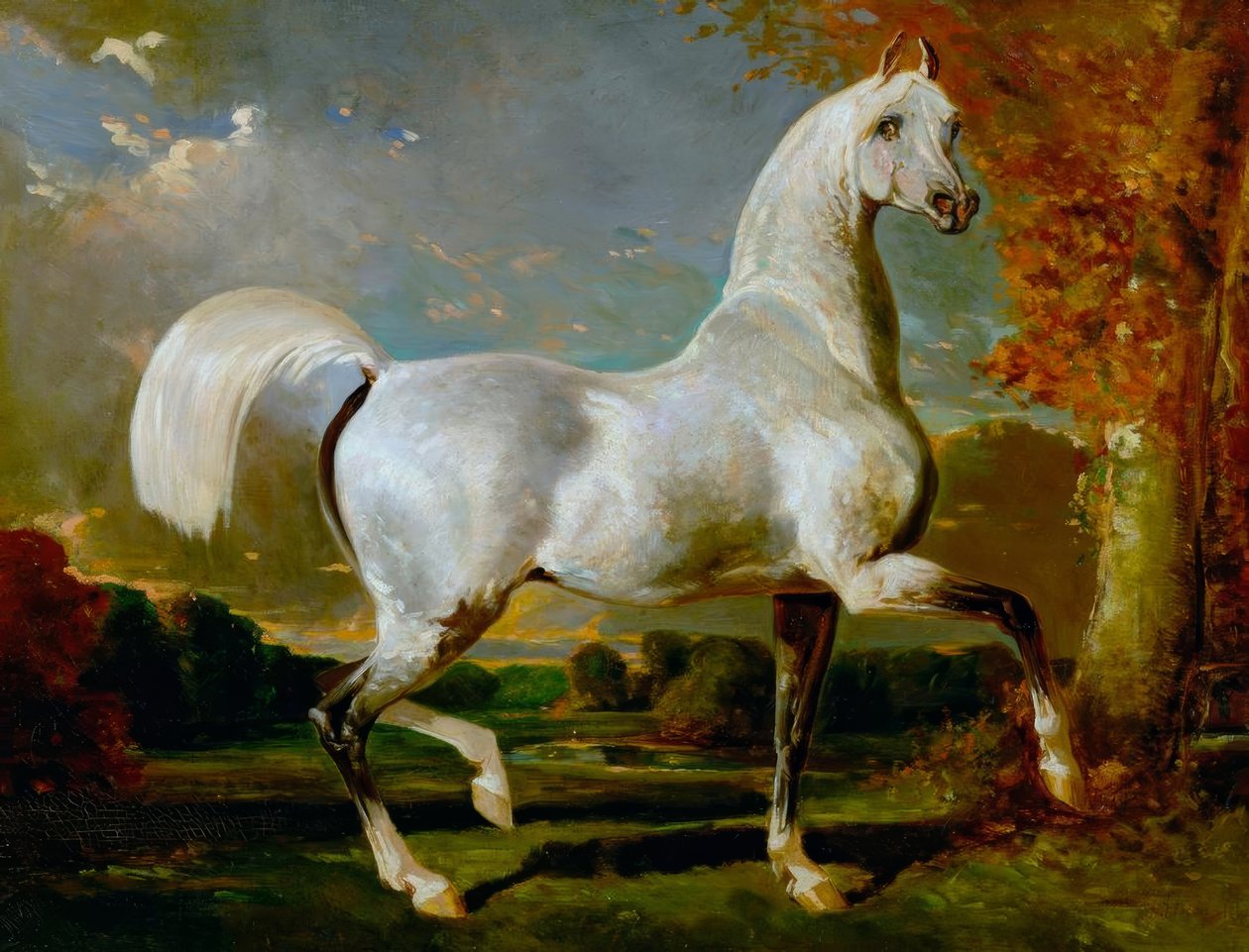 arabski ogier autorstwa Alfred Dedreux