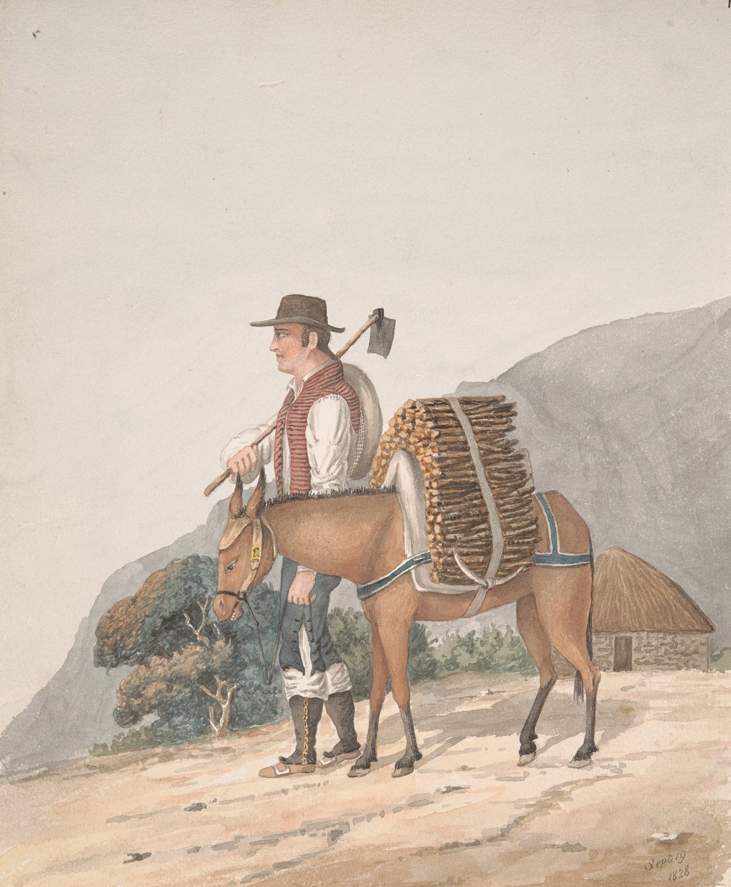 Sprzedawca drewna opałowego, Teneryfa autorstwa Alfred Diston