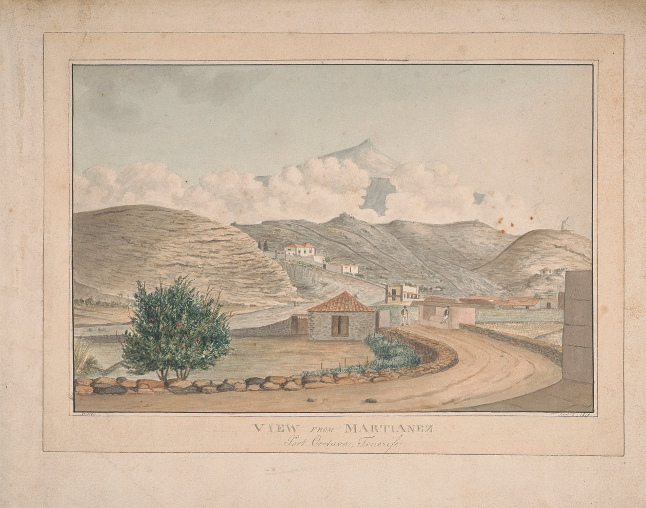 Widok z Martianez, Port Orotava, Teneryfa autorstwa Alfred Diston