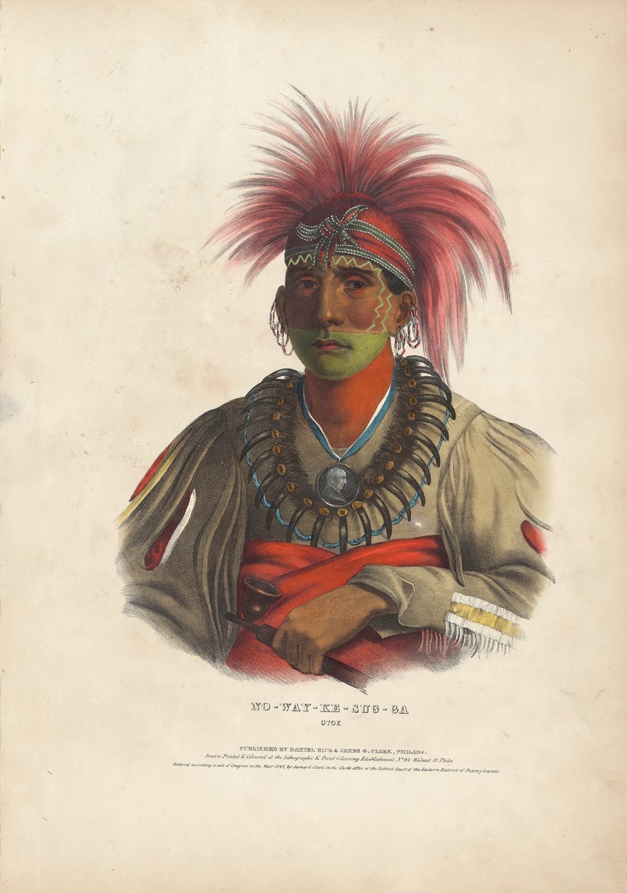 Bez sumy y - przypadek g - to Otoe autorstwa Alfred Hoffy, after Charles Bird King
