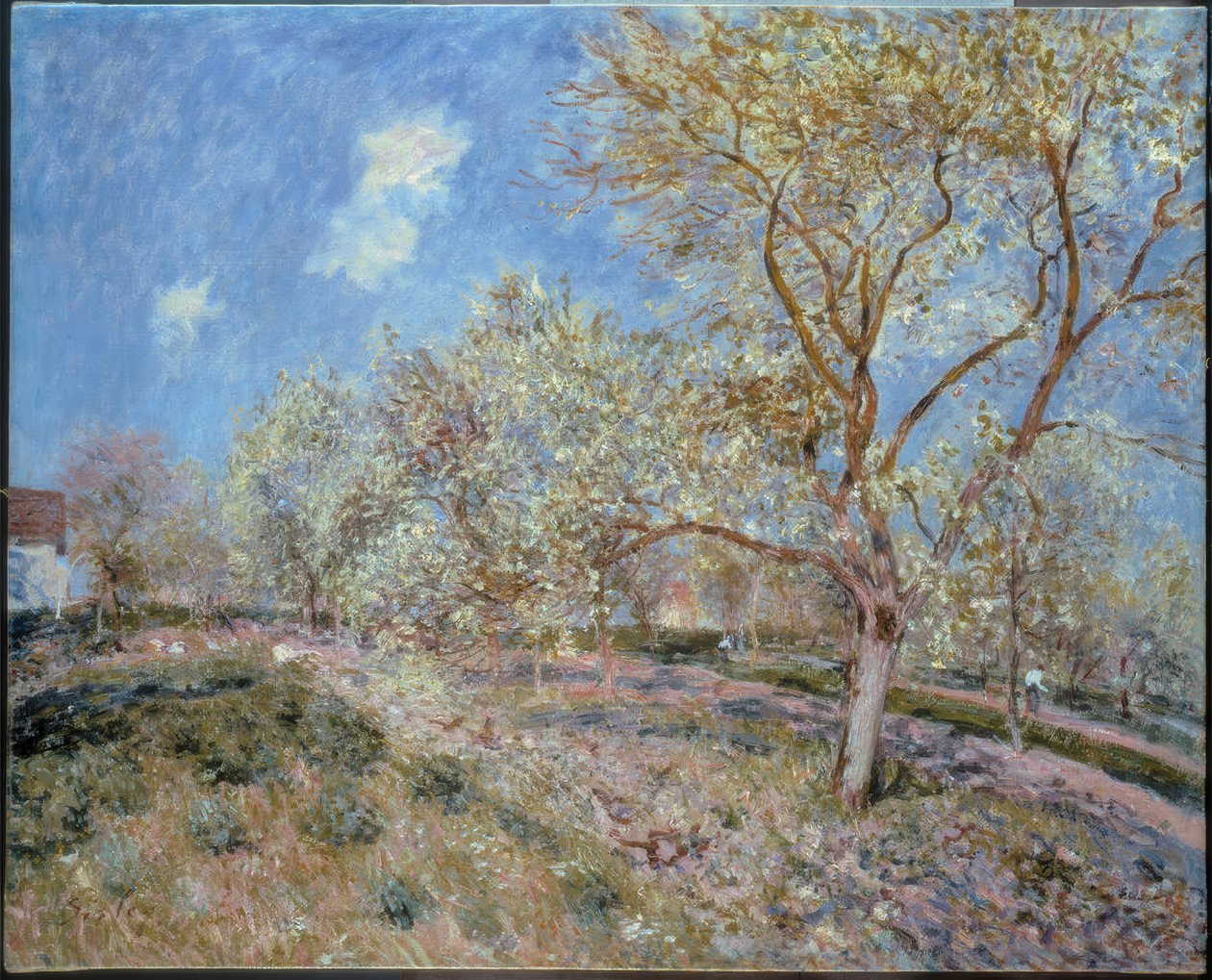 Wiosna w Veneux autorstwa Alfred Sisley