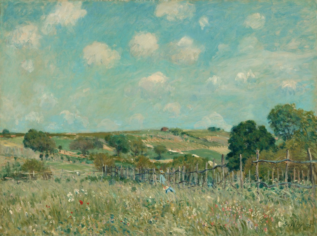 Łąka, 1875. autorstwa Alfred Sisley