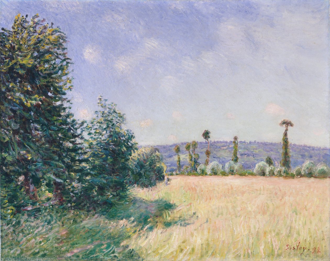 Sahurs Meadows w porannym słońcu, 1894. autorstwa Alfred Sisley