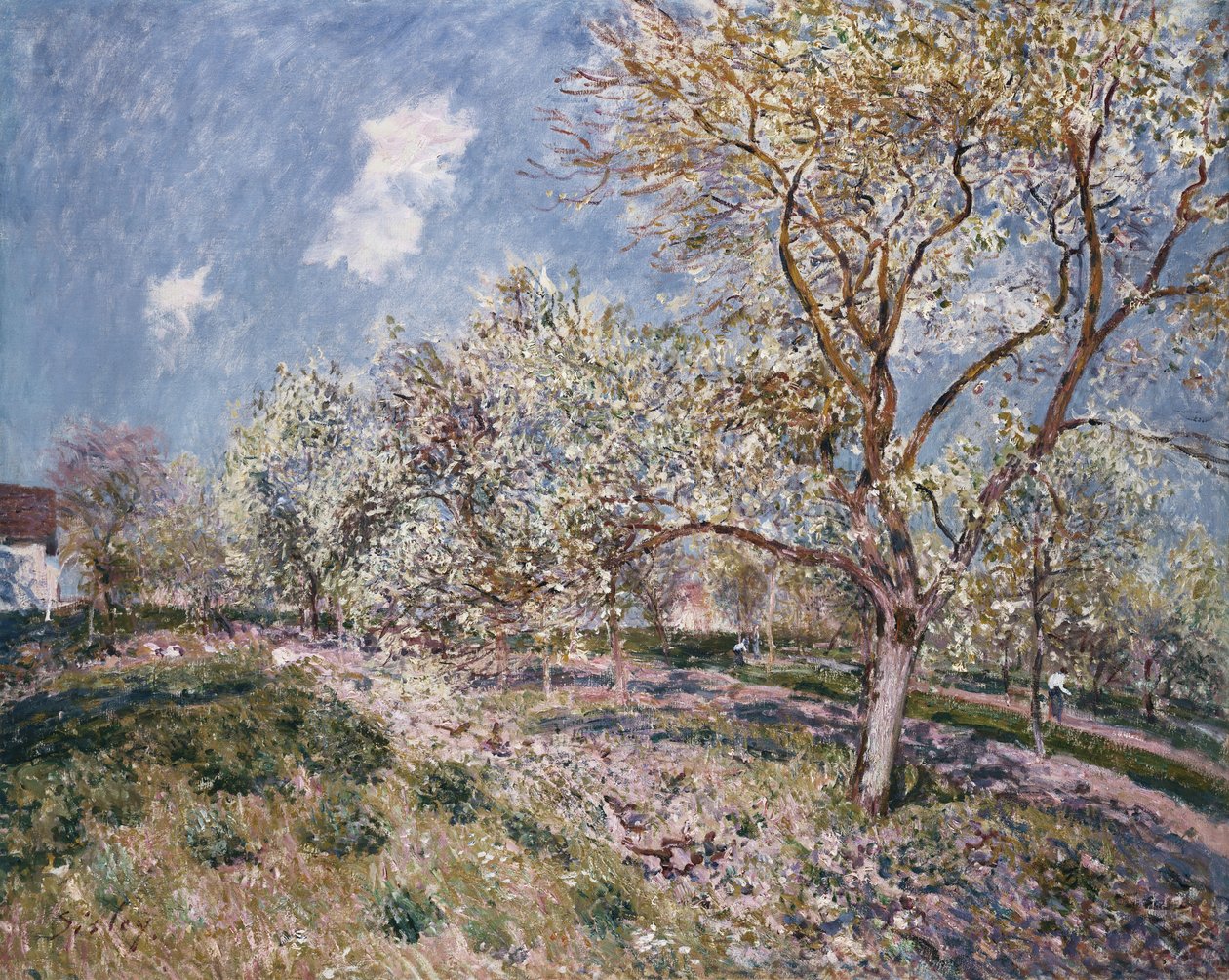 Wiosna w Veneux, 1880 autorstwa Alfred Sisley