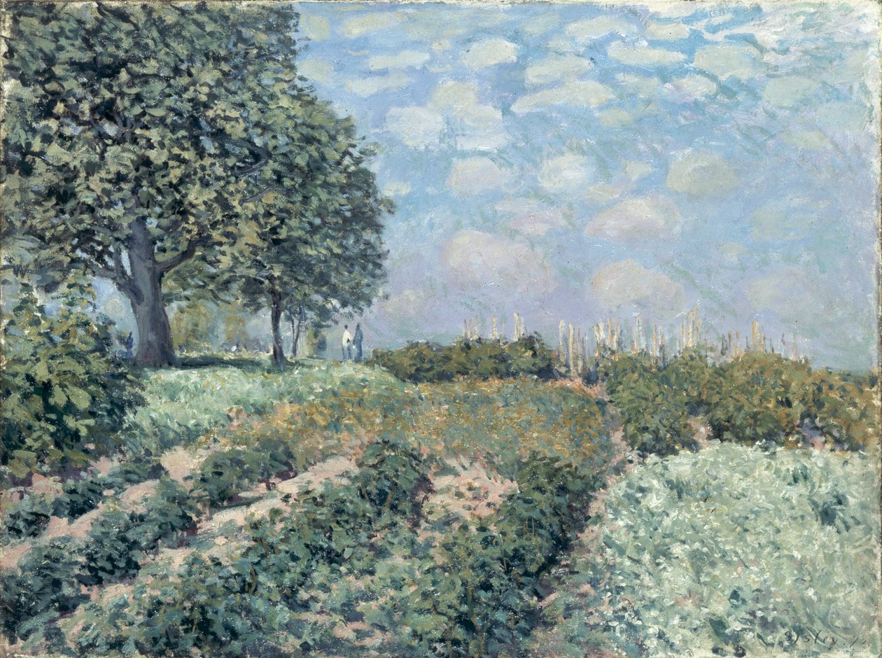Ogrody Targowe autorstwa Alfred Sisley