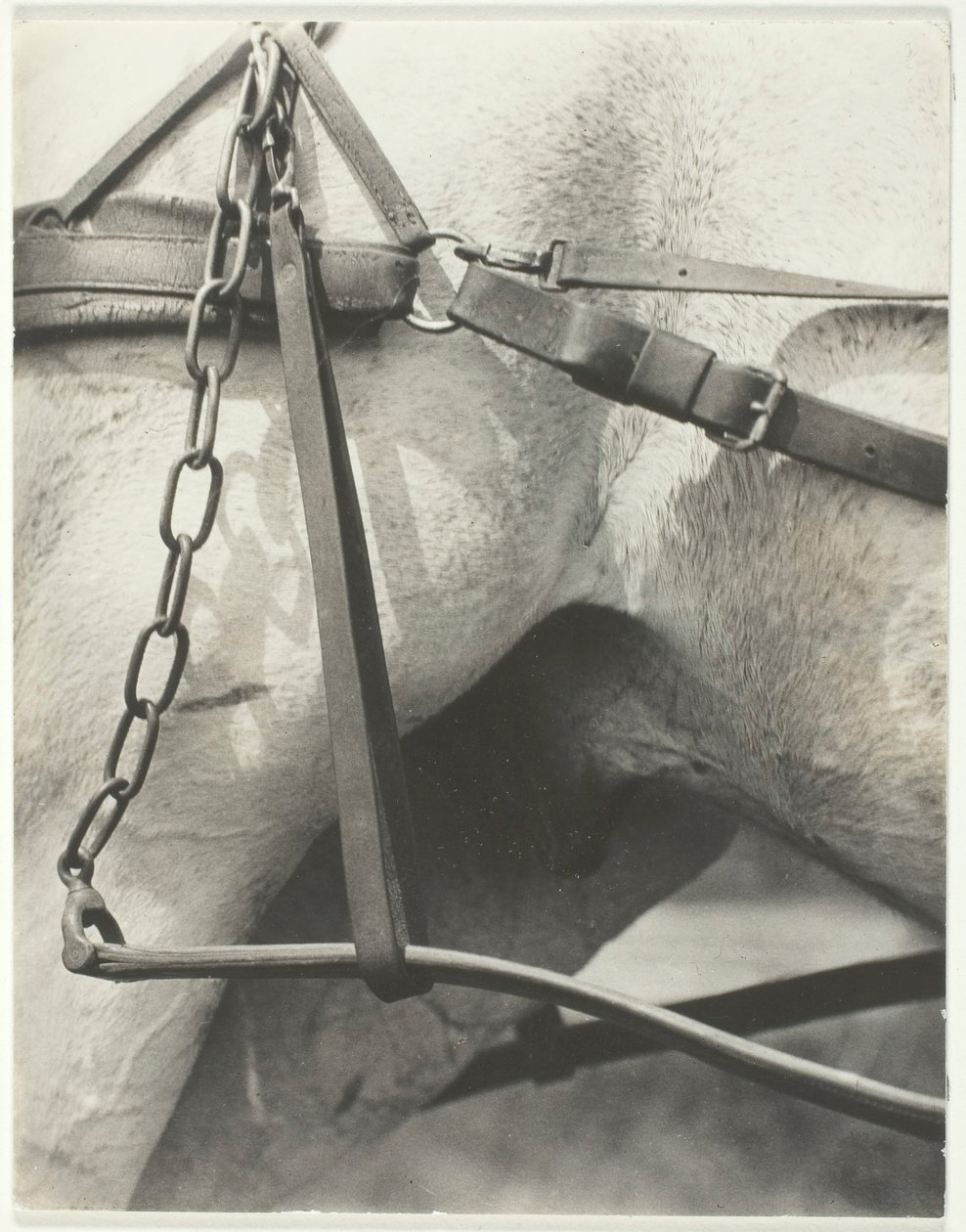Odpowiednik, Duchowa Ameryka, 1923. autorstwa Alfred Stieglitz