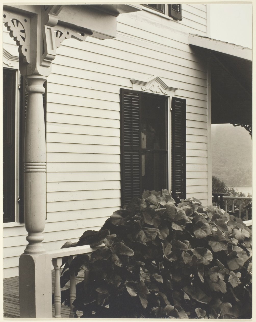 Dom i liście winogron autorstwa Alfred Stieglitz