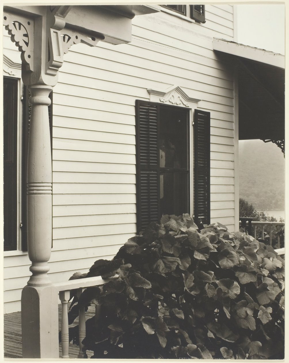 Dom i liście winogron, 1934. autorstwa Alfred Stieglitz