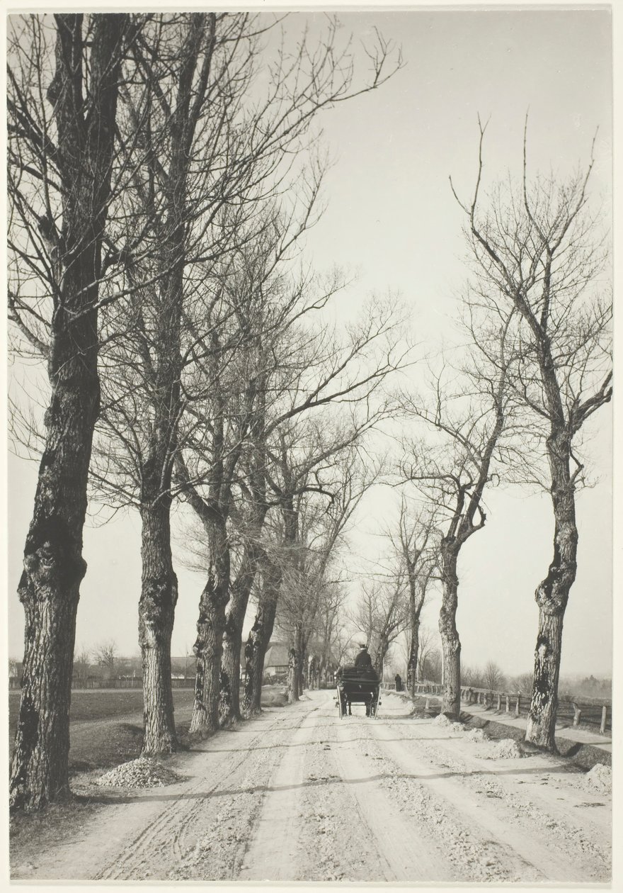 Dni Listopadowe, 1887, druk 192039. autorstwa Alfred Stieglitz