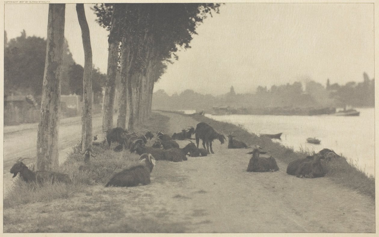 Nad Sekwaną — pod Paryżem autorstwa Alfred Stieglitz