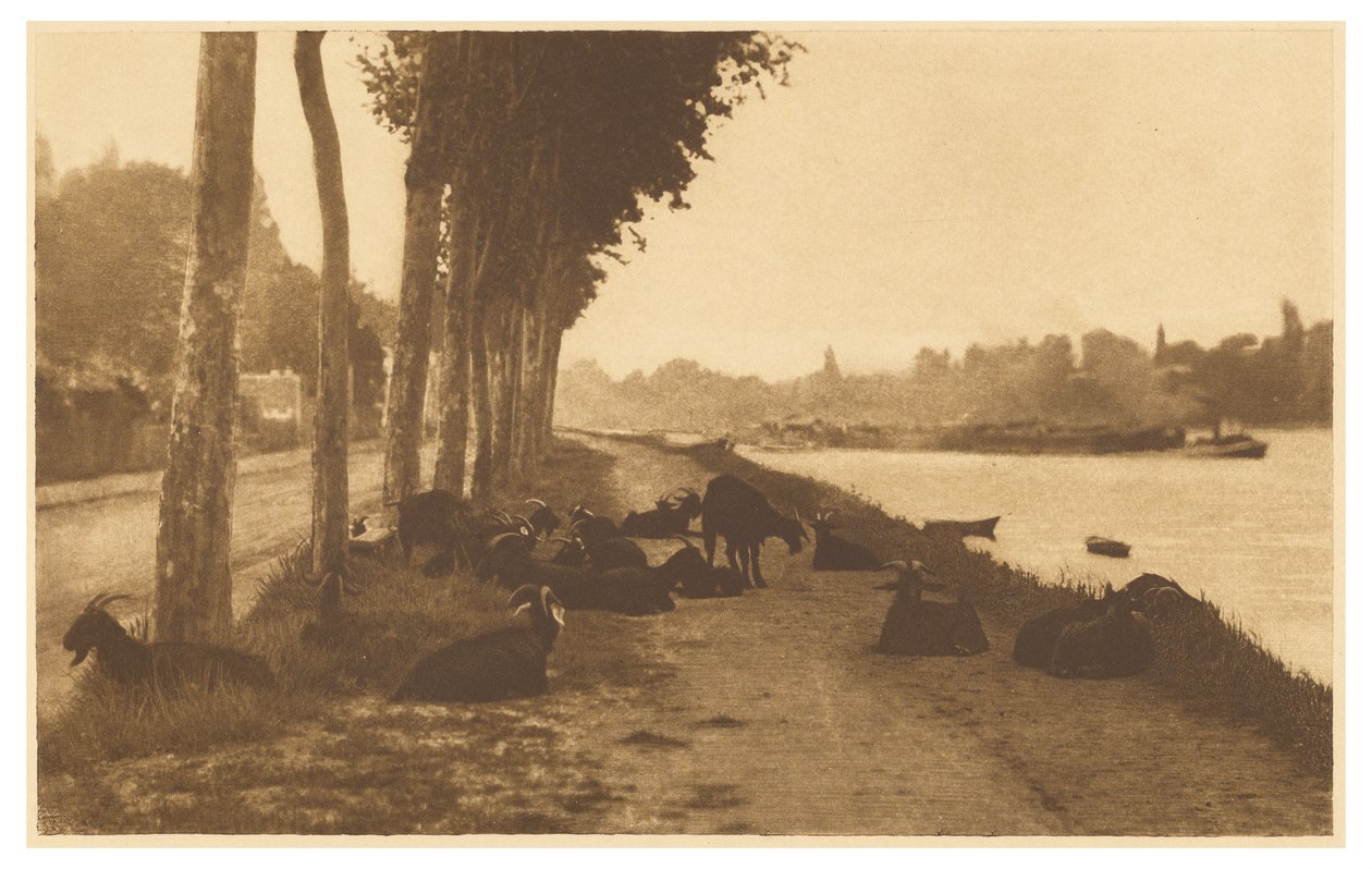 [Nad Sekwaną - niedaleko Paryża] autorstwa Alfred Stieglitz