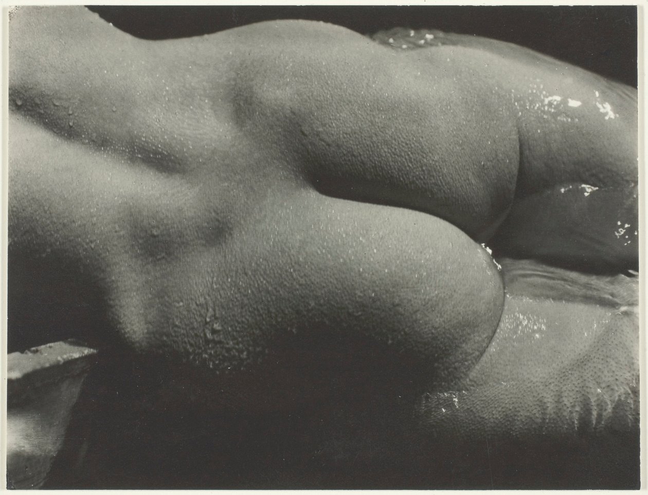 Rebecca Salsbury Strand autorstwa Alfred Stieglitz