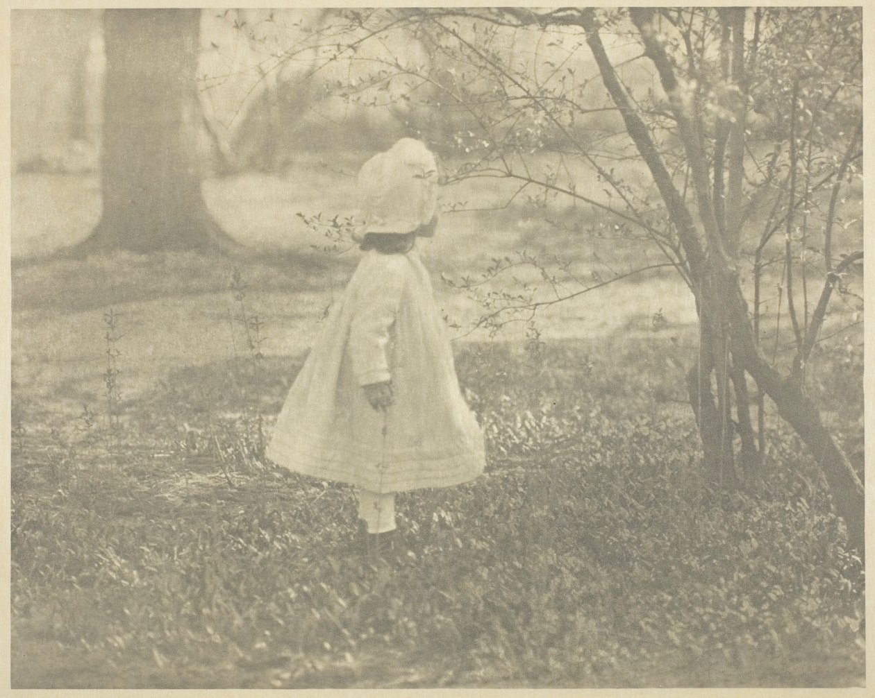 Wiosna - Dziecko autorstwa Alfred Stieglitz