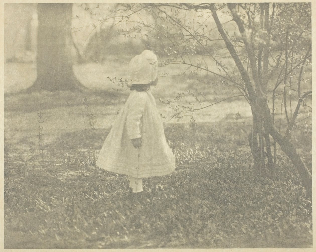 Wiosna - Dziecko, 1901. autorstwa Alfred Stieglitz