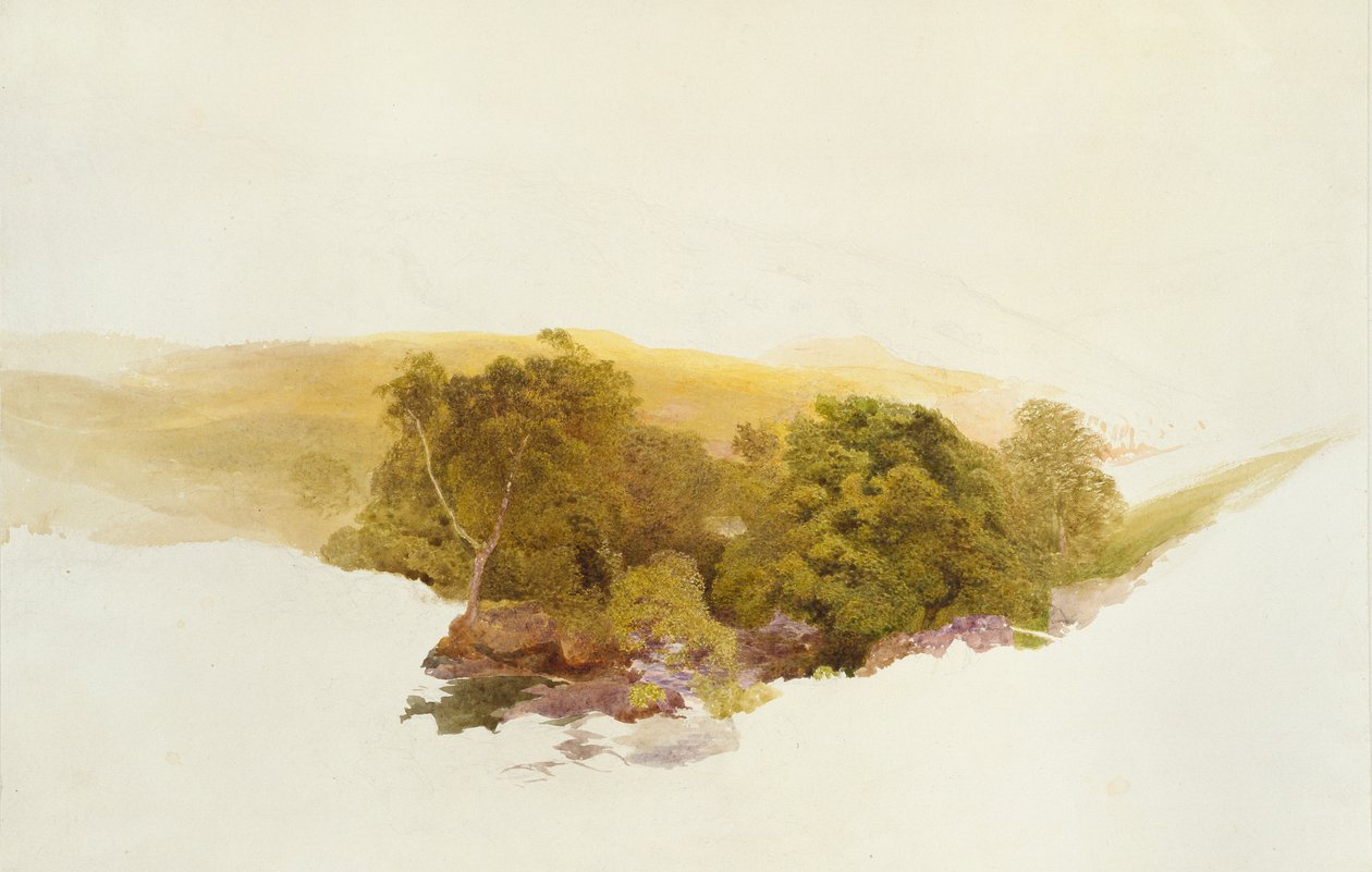 Wzgórze Martina, Dockwigg, ok. 1862 r. autorstwa Alfred William Hunt