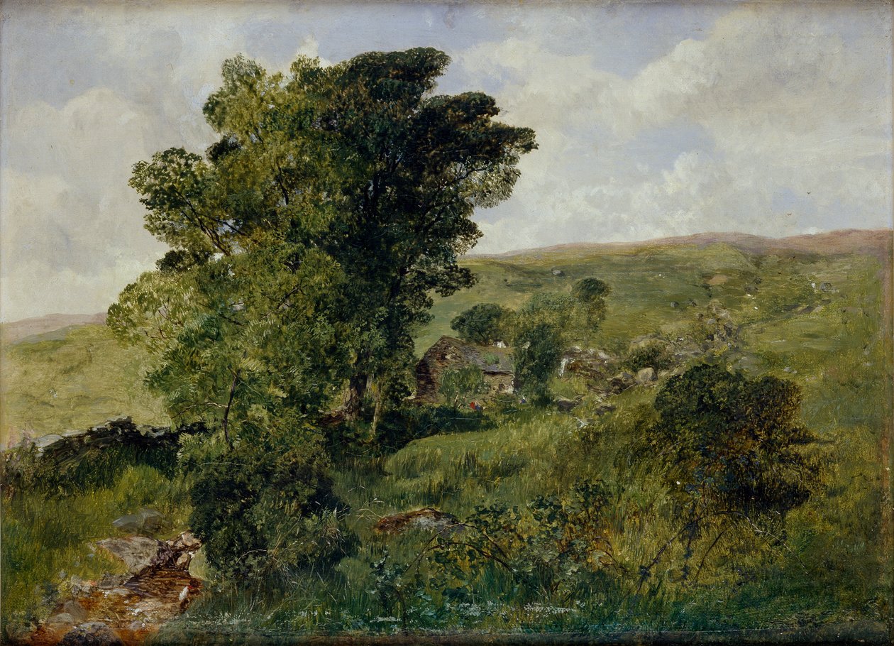 Widok Nantlle, Caernarvonshire, 1855 autorstwa Alfred William Hunt