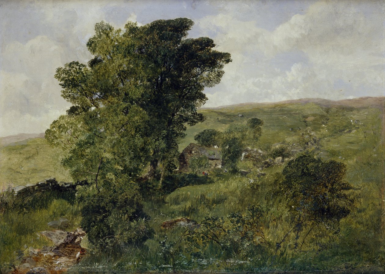 Widok Nantlle, Caernarvonshire, 1855 autorstwa Alfred William Hunt