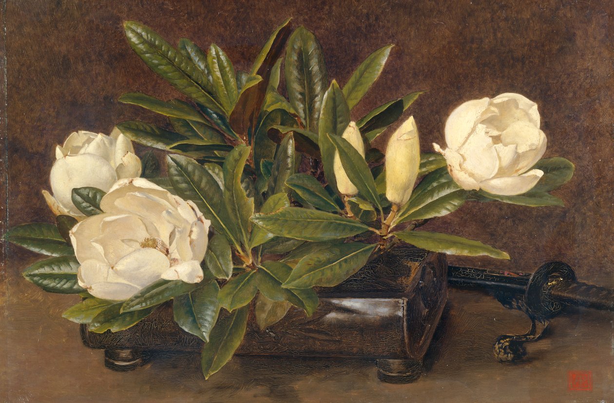 "Magnolie", 1867-1920 autorstwa Alfred William Parsons
