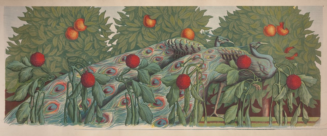 Pawie, 1903. autorstwa Alfredo Müller