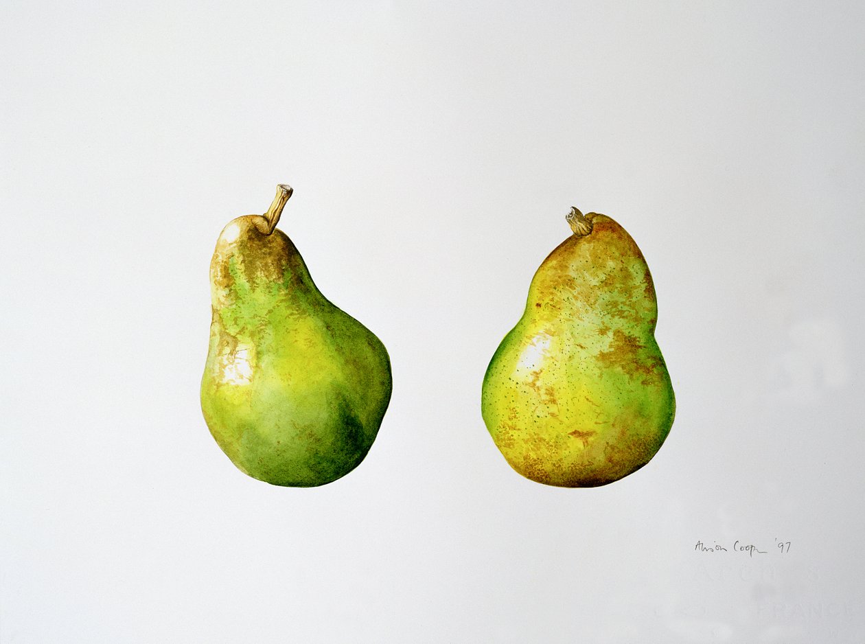 Para gruszek, 1997 autorstwa Alison Cooper