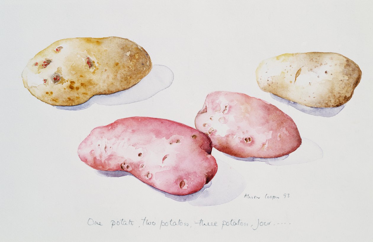 Studium ziemniaczane, 1993 autorstwa Alison Cooper