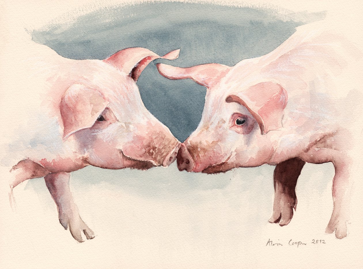 Dwie małe świnki, 2012 autorstwa Alison Cooper