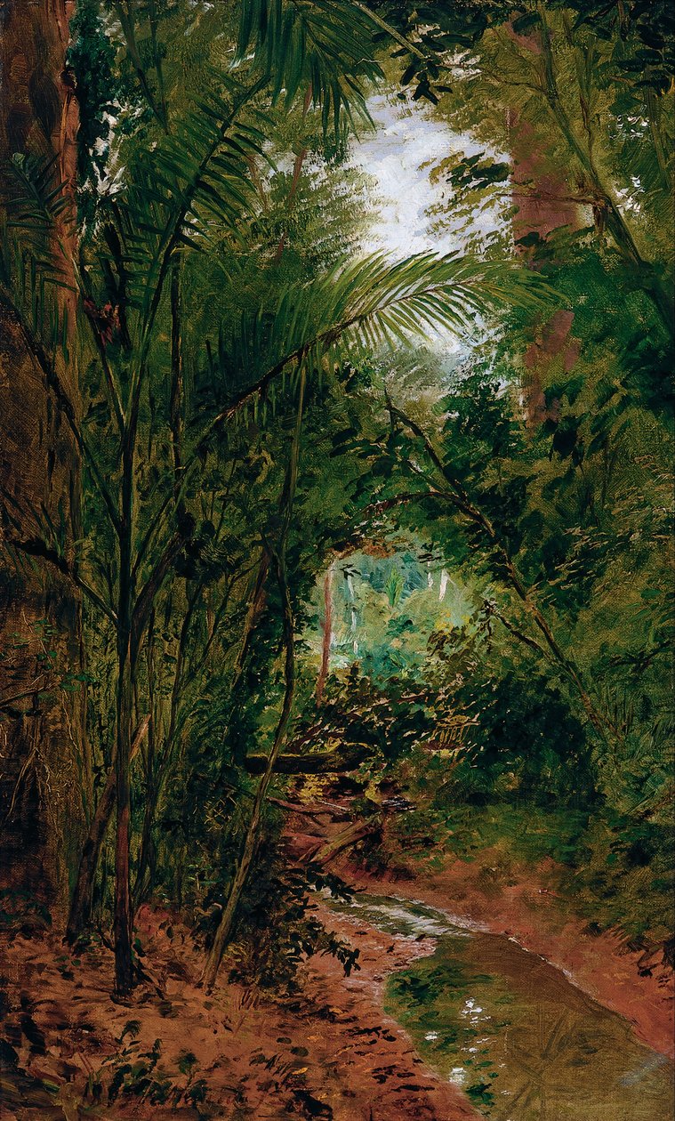 Krajobraz w Rio das Pedras autorstwa Almeida Júnior