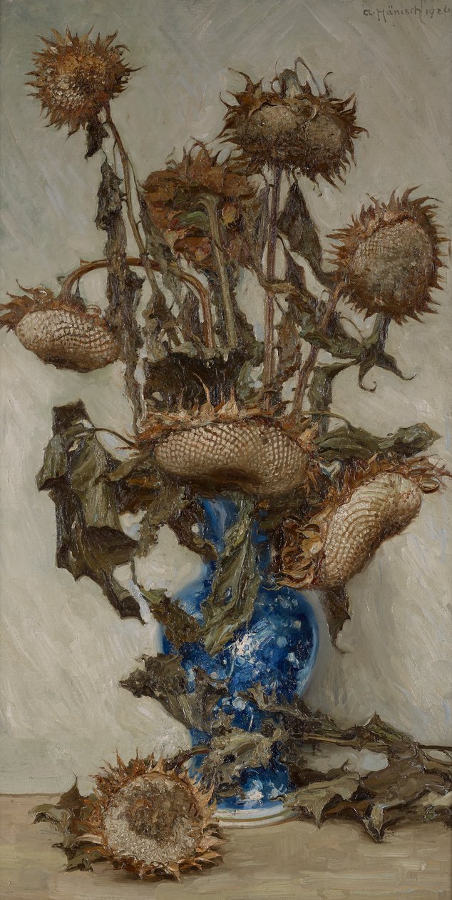 Helianthus autorstwa Alois Hänisch