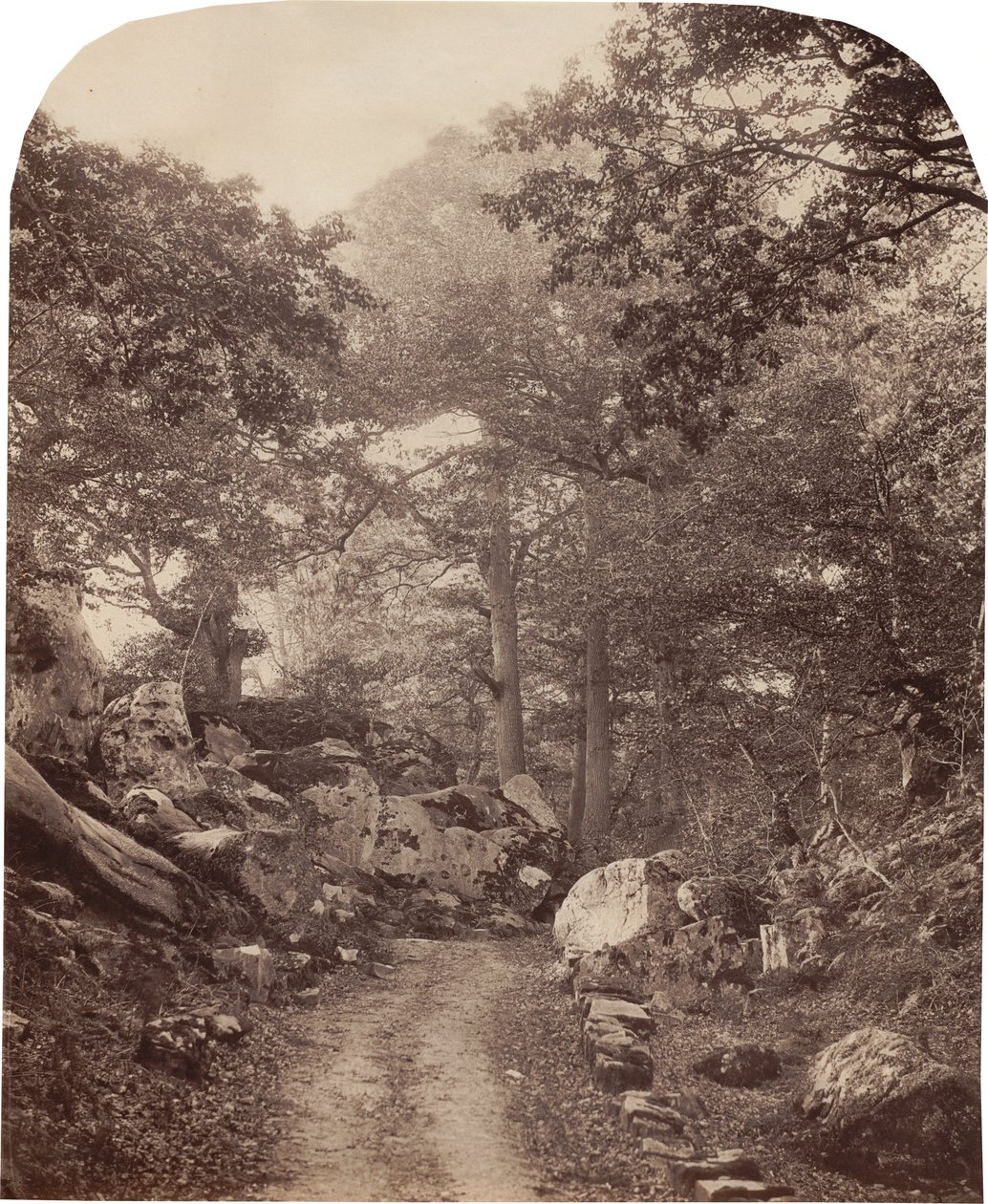 Fontainebleau autorstwa Alphonse Jeanrenaud