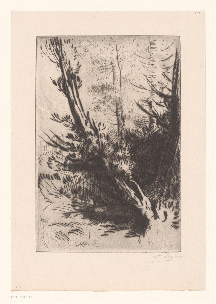 drzewa autorstwa Alphonse Legros (signed by artist)