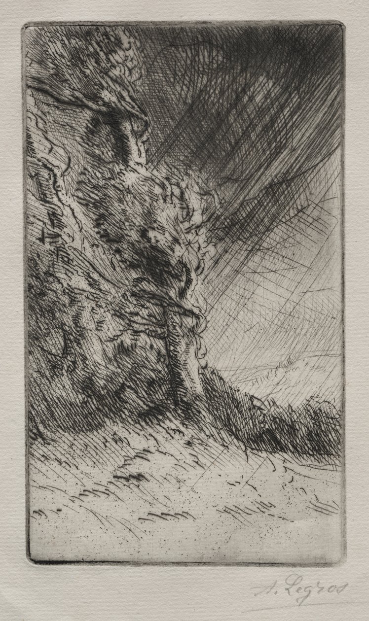 Podmuch wiatru autorstwa Alphonse Legros