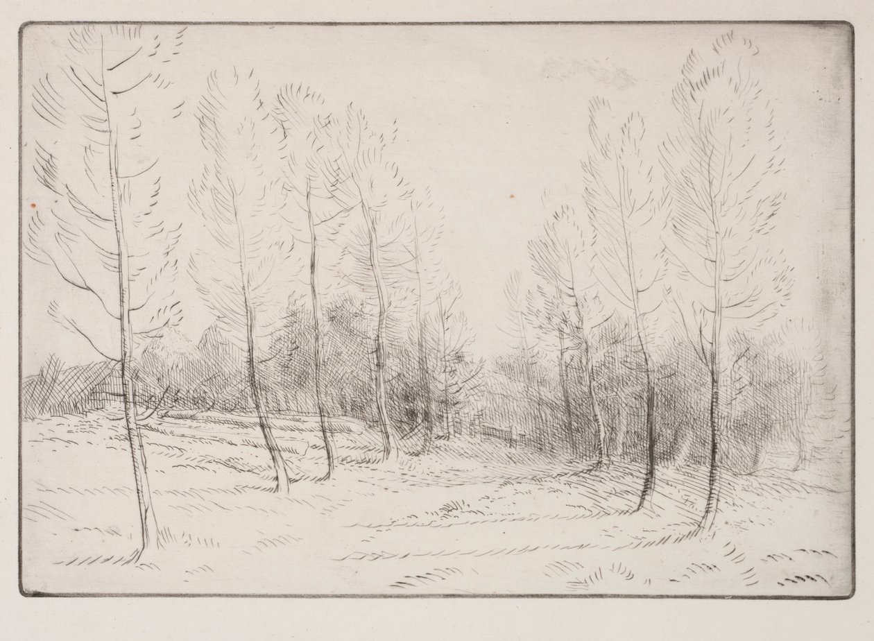 Aleja Topoli autorstwa Alphonse Legros
